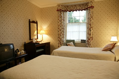 Standard bedroom with twin beds